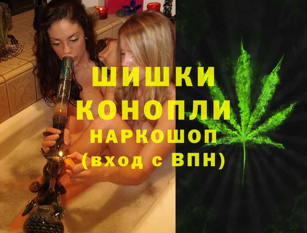 гашик Нягань