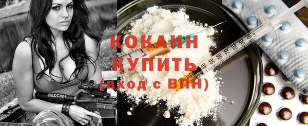 дживик Новодвинск