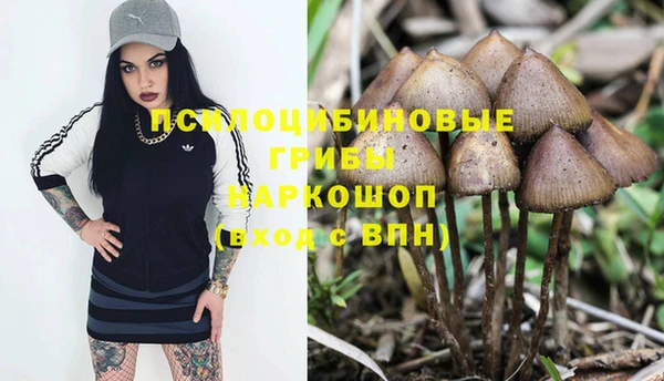 гашик Нягань