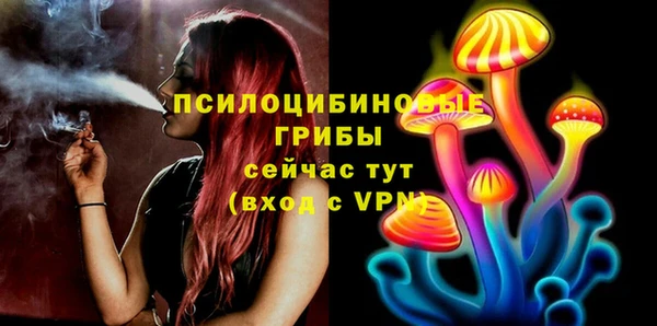 экстази Весьегонск