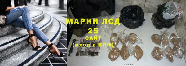 дживик Новодвинск
