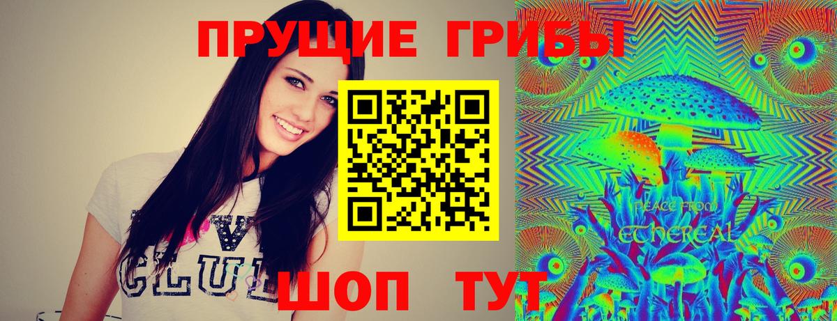 Галлюциногенные грибы прущие грибы Чистополь