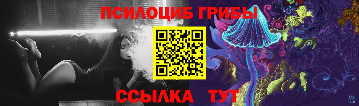 Псилоцибиновые грибы мицелий  Вход с VPN  Чистополь 