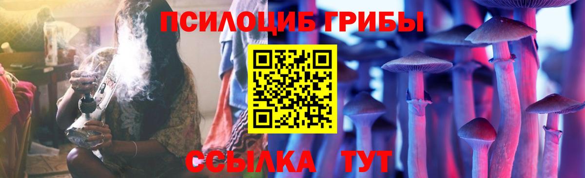 Псилоцибиновые грибы прущие грибы  закладка  Псилоцибиновые грибы Magic Shrooms  Чистополь 